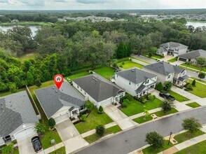 11412 Blue Woods Dr in Riverview, FL - Building Photo - Building Photo