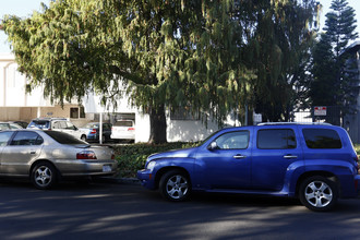 3419 Jasmine Ave in Los Angeles, CA - Building Photo - Building Photo