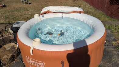 1933 Saxton Ave in Knoxville, TN - Foto de edificio - Building Photo