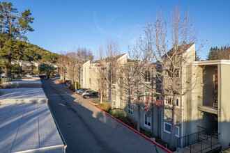 Farm Hill Vista in Redwood City, CA - Building Photo - Building Photo