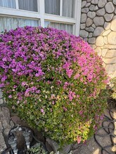 17249 Flanders St in Los Angeles, CA - Foto de edificio - Building Photo