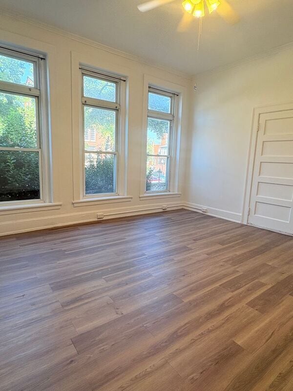 property at 3037 N Calvert St