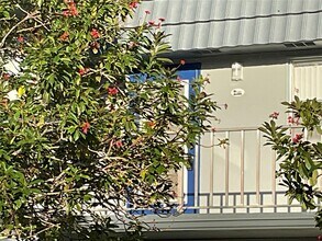 516 Saxony Dr in Delray Beach, FL - Building Photo - Building Photo