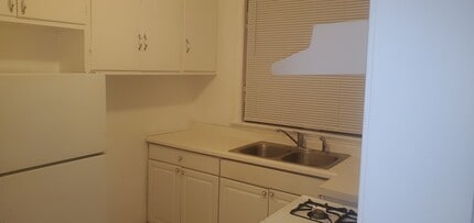 6519 S Eberhart Ave, Unit Unit1 in Chicago, IL - Building Photo - Building Photo