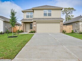 18546 Cepagatti Dr in New Caney, TX - Building Photo