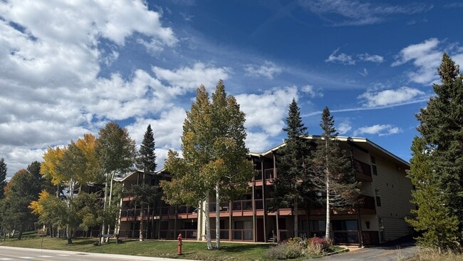 244 W Lodgepole St in Dillon, CO - Building Photo - Building Photo