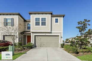 8061 Rolling Shell Trail in Wesley Chapel, FL - Building Photo