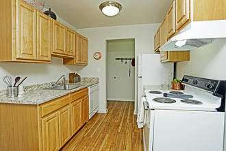 Forest Ridge Apartments in Rochester, MI - Building Photo - Interior Photo