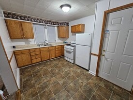 203 N Lincoln Ave in Springfield, IL - Building Photo