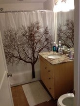 156 Green St, Unit 305 in Boston, MA - Building Photo - Building Photo