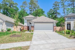 32013 Towering Birch Trl in Conroe, TX - Building Photo