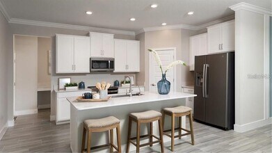 10043 Campanula Ct in Land O Lakes, FL - Building Photo - Building Photo