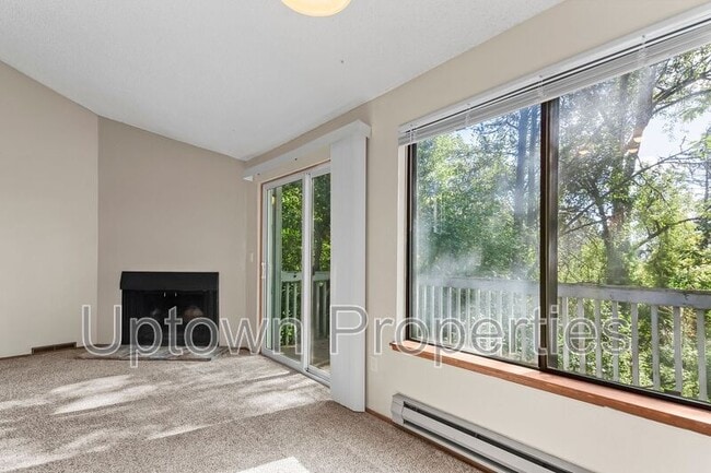 property at 248 Cervantes Cir