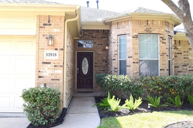 12918 Meadow Springs Dr in Pearland, TX - Building Photo - Building Photo