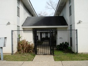 317 East Drive Apartments in Baton Rouge, LA - Building Photo - Building Photo