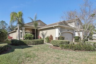 2837 Tarragona Wy in Wesley Chapel, FL - Building Photo