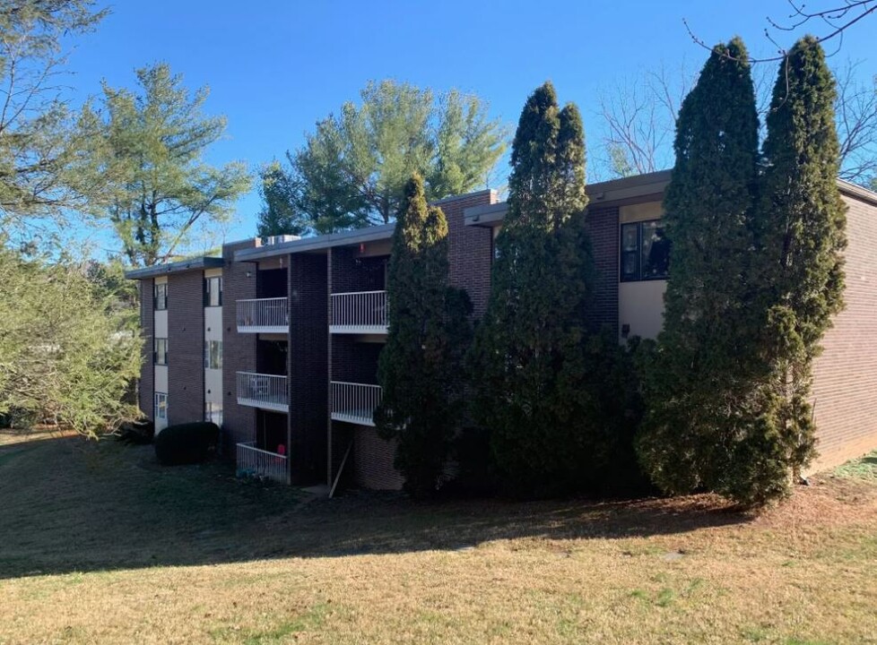 81 Lakeshore Dr in Asheville, NC - Building Photo