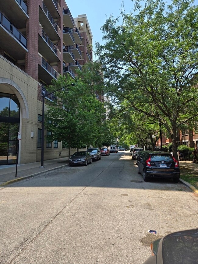 811 W 15th Pl in Chicago, IL - Building Photo - Building Photo