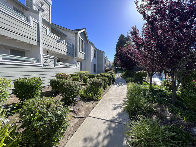 Fountain Plaza Hills in Vallejo, CA - Building Photo - Building Photo