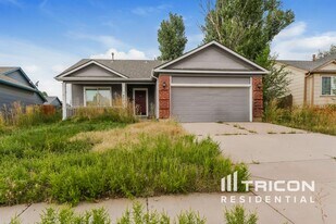 851 Barn Owl Dr in Fountain, CO - Building Photo