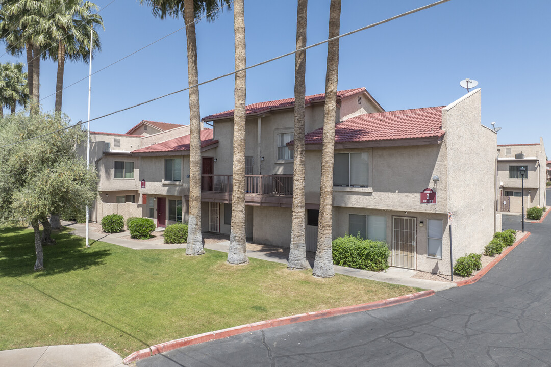 Orangewood Grove in Glendale, AZ - Foto de edificio