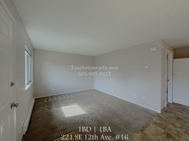 property at 221 SE 12th Ave