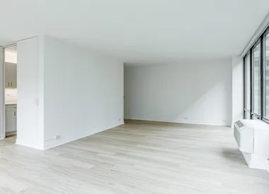 240 E Wacker Dr in Chicago, IL - Foto de edificio - Building Photo