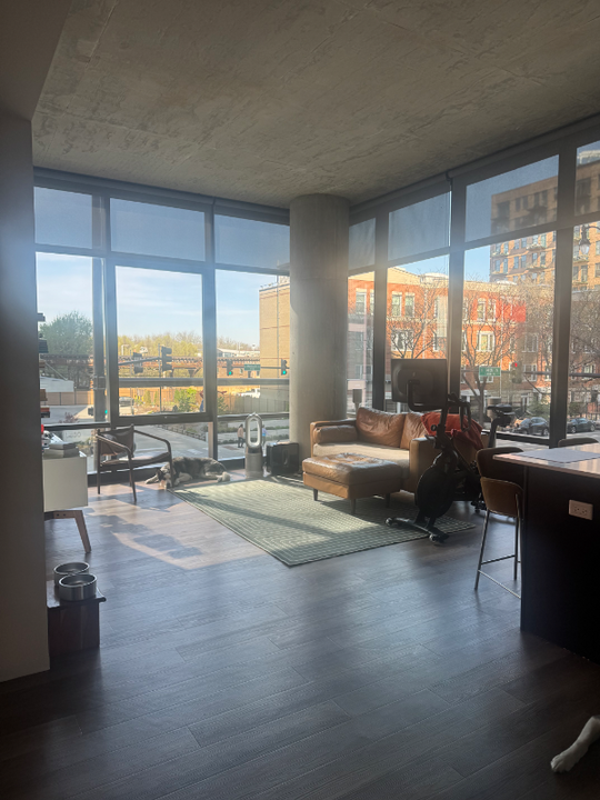 51 E 14th St in Chicago, IL - Building Photo