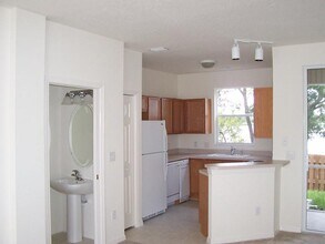 11046 Black Swan Ct in Seffner, FL - Building Photo - Building Photo