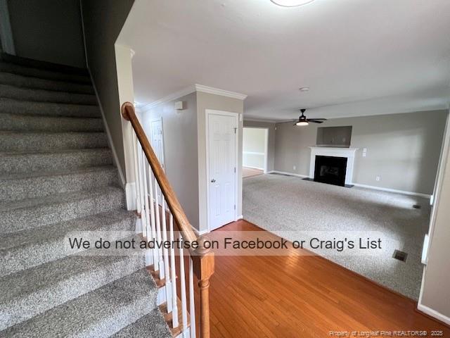 806 Danelaw Dr in Hope Mills, NC - Building Photo - Building Photo