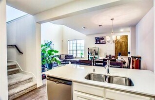 4215 Snow Goose Trl in Arlington, TX - Building Photo