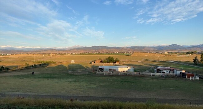 3317 Curlew Dr in Berthoud, CO - Building Photo - Building Photo