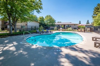 The Trees at Madison in Sacramento, CA - Building Photo - Building Photo