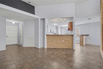 319 Richvale Ln in Webster, TX - Building Photo - Building Photo