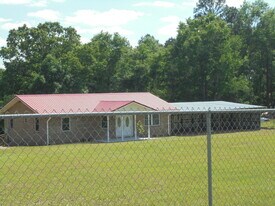 533 Co Rd 255 in New Brockton, AL - Building Photo