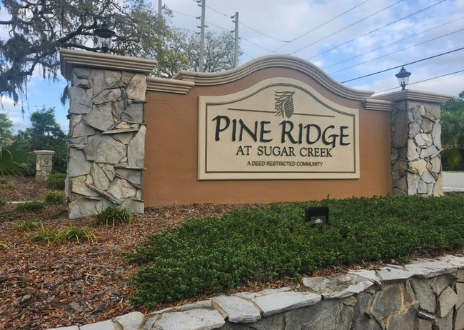 12218 Fox Chase Dr in Hudson, FL - Building Photo - Building Photo