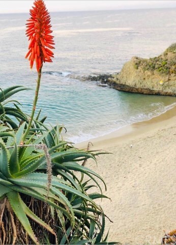 274 Cliff Dr-Unit -Tenant in Laguna Beach, CA - Building Photo - Building Photo