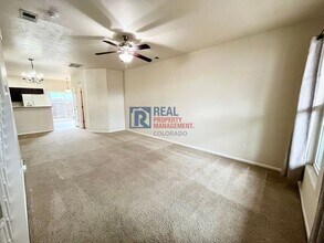 2575 Shannara Grove in Colorado Springs, CO - Building Photo - Building Photo