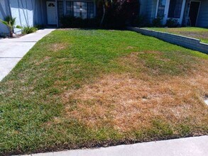 15141 Windover Ct in Lake Elsinore, CA - Building Photo - Building Photo