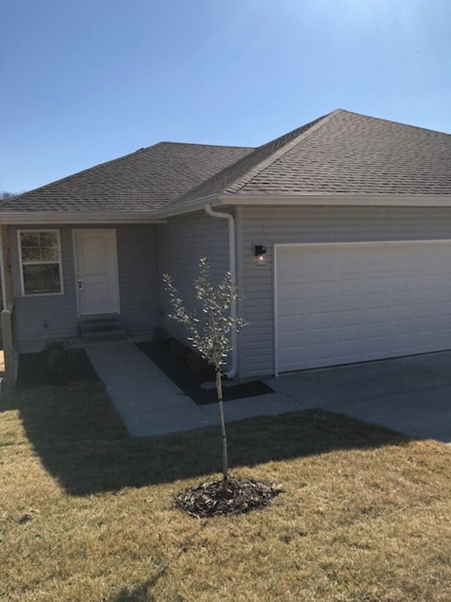 157 Rockridge Rd in Branson, MO - Building Photo - Building Photo