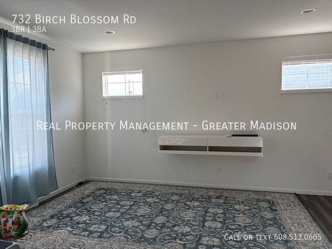 732 Birch Blossom Rd in Verona, WI - Building Photo - Building Photo