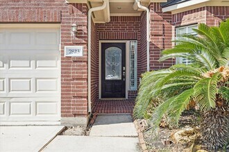 7823 Desert Canyon Ct in Houston, TX - Building Photo - Building Photo