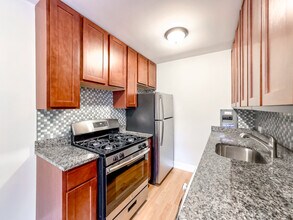 510 W Briar in Chicago, IL - Building Photo - Building Photo