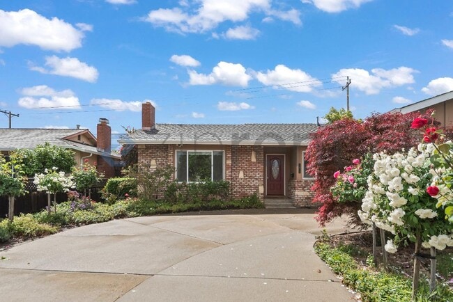1674 Noreen Dr in San Jose, CA - Building Photo - Building Photo