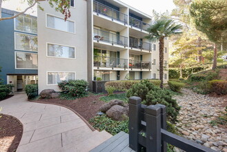 Belmont Terrace in Belmont, CA - Foto de edificio - Building Photo