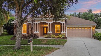 7051 Derwent Glen Cir in Land O Lakes, FL - Building Photo