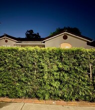 2620 Graham Ave in Redondo Beach, CA - Building Photo - Building Photo