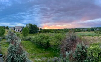 6016 S Telluride Cir in Aurora, CO - Building Photo