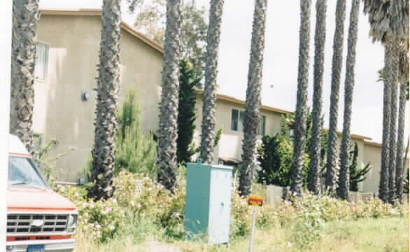 Santa Paula Village Apartments in Santa Paula, CA - Building Photo - Building Photo