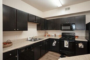 Paseo Pointe in Los Fresnos, TX - Building Photo